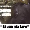 Torna ad agosto la “Summer school” voluta a Belvedere da L’orodicalabria